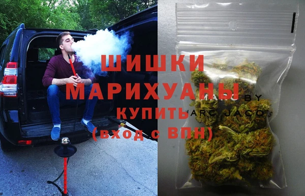 крисы Бронницы