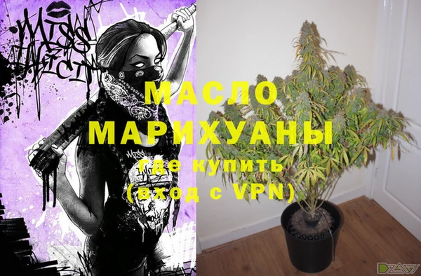 крисы Бронницы