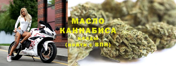 крисы Бронницы