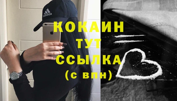 крисы Бронницы