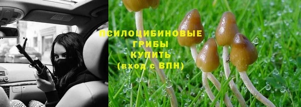 героин Бородино