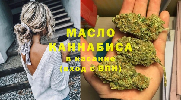 крисы Бронницы