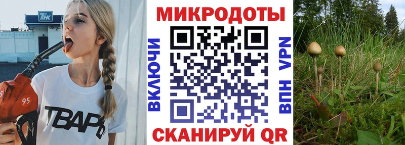 Псилоцибиновые грибы MAGIC MUSHROOMS Ильский